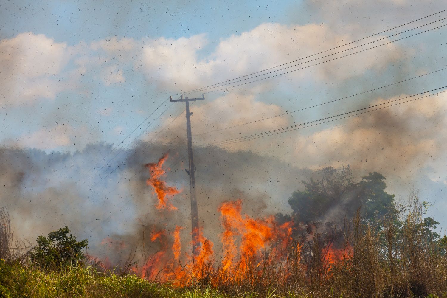 Gep Services Plan Incendios 1 - Gep Services